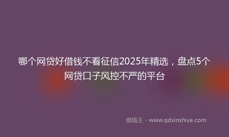 哪个网贷好借钱不看征信2025年精选，盘点5个网贷口子风控不严的平台
