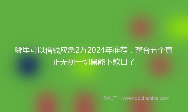 哪里可以借钱应急2万2024年推荐，整合五个真正无视一切黑能下款口子