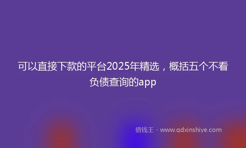 可以直接下款的平台2025年精选，概括五个不看负债查询的app