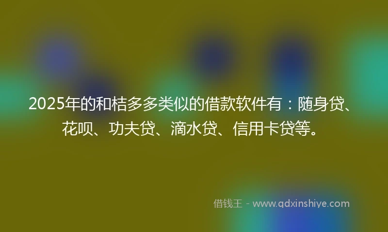 2025年的和桔多多类似的借款软件有：随身贷、花呗、功夫贷、滴水贷、信用卡贷等。