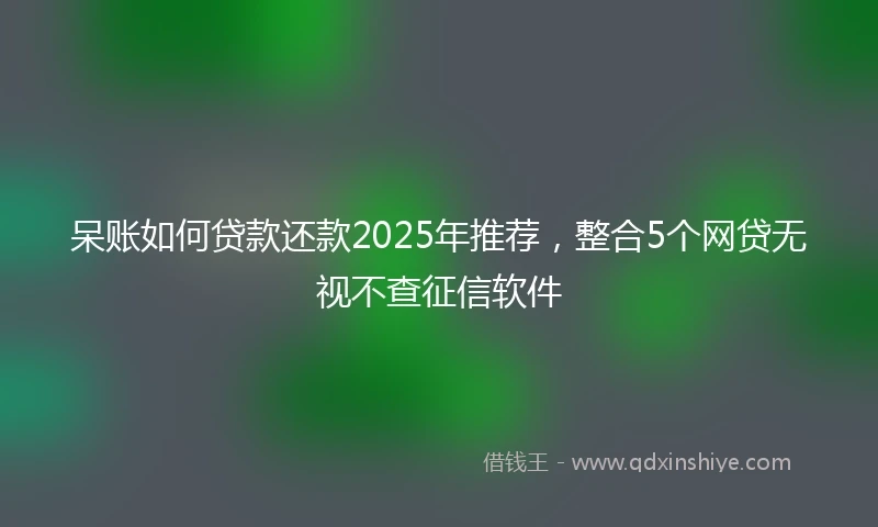 呆账如何贷款还款2025年推荐，整合5个网贷无视不查征信软件