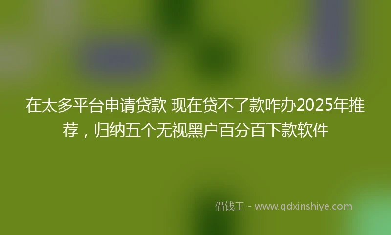 在太多平台申请贷款 现在贷不了款咋办2025年推荐，归纳五个无视黑户百分百下款软件
