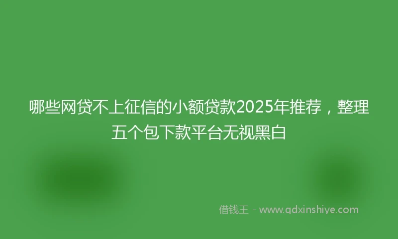 哪些网贷不上征信的小额贷款2025年推荐，整理五个包下款平台无视黑白