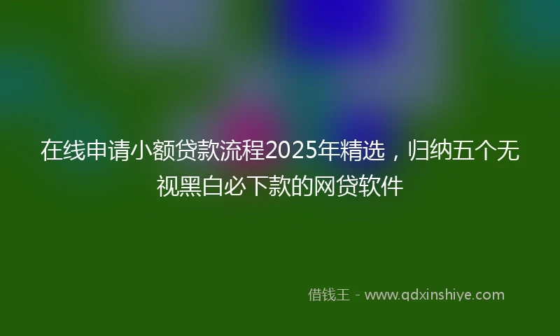 在线申请小额贷款流程2025年精选，归纳五个无视黑白必下款的网贷软件