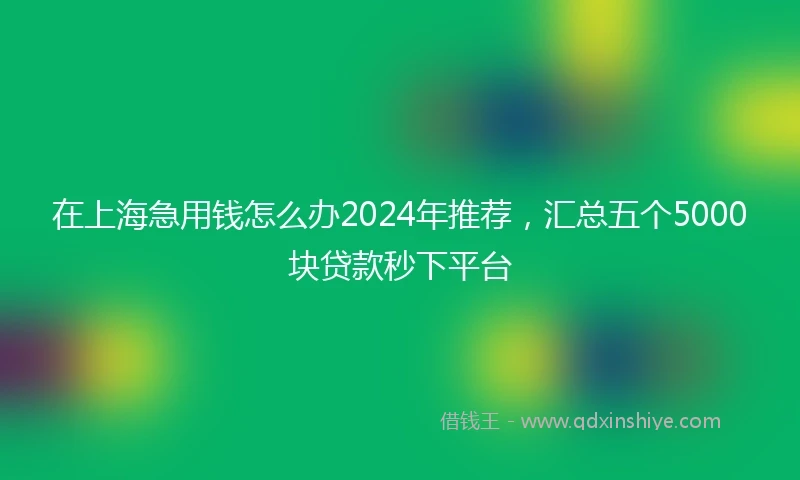 在上海急用钱怎么办2024年推荐，汇总五个5000块贷款秒下平台