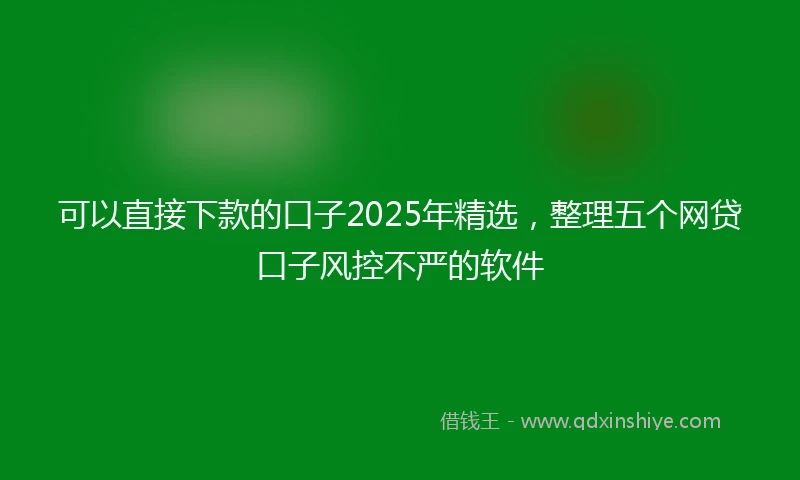 可以直接下款的口子2025年精选,整理五个网贷口子风控不严的软件