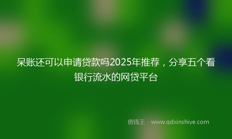 呆账还可以申请贷款吗2025年推荐，分享五个看银行流水的网贷平台