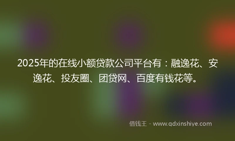 2025年的在线小额贷款公司平台有：融逸花、安逸花、投友圈、团贷网、百度有钱花等。