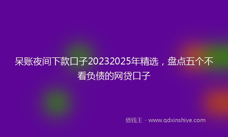 呆账夜间下款口子20232025年精选，盘点五个不看负债的网贷口子
