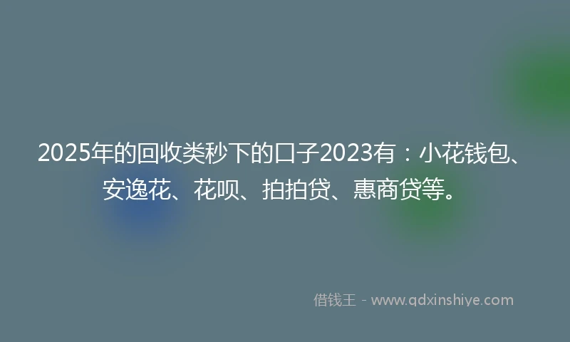 2025年的回收类秒下的口子2023有：小花钱包、安逸花、花呗、拍拍贷、惠商贷等。