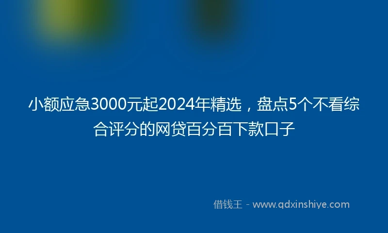 小额应急3000元起2024年精选，盘点5个不看综合评分的网贷百分百下款口子