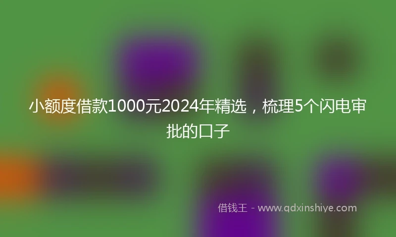 小额度借款1000元2024年精选，梳理5个闪电审批的口子