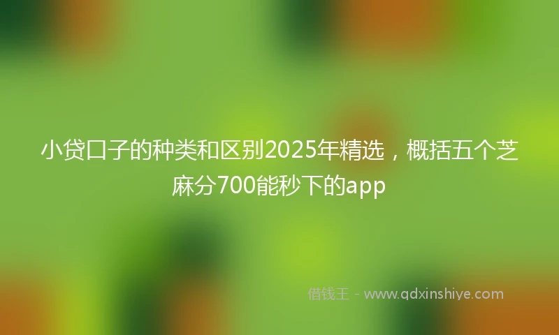 小贷口子的种类和区别2025年精选，概括五个芝麻分700能秒下的app