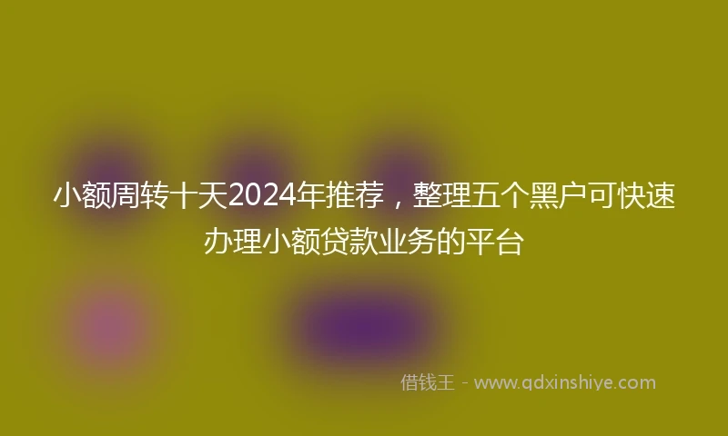 小额周转十天2024年推荐，整理五个黑户可快速办理小额贷款业务的平台