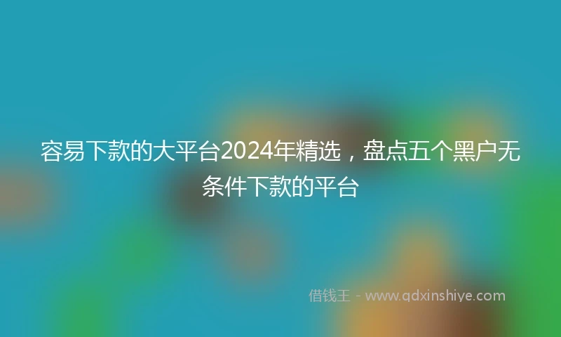 容易下款的大平台2024年精选，盘点五个黑户无条件下款的平台