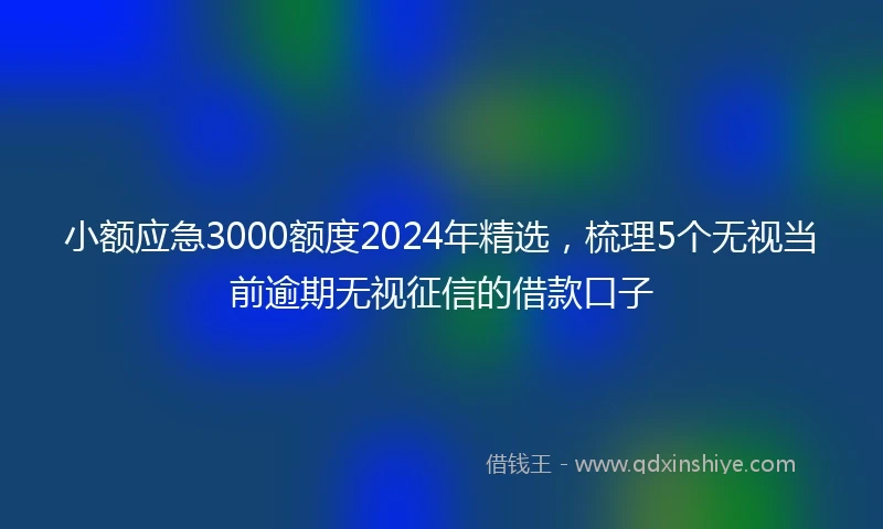 小额应急3000额度2024年精选，梳理5个无视当前逾期无视征信的借款口子