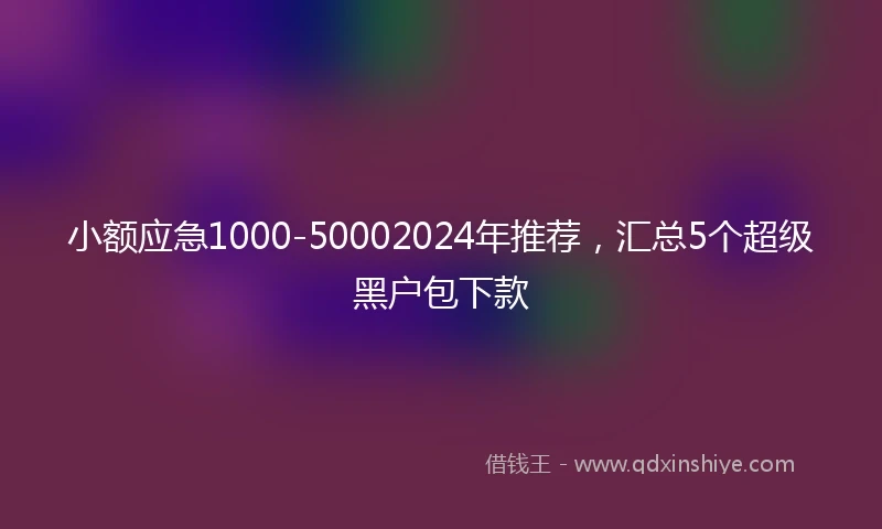 小额应急1000-50002024年推荐，汇总5个超级黑户包下款