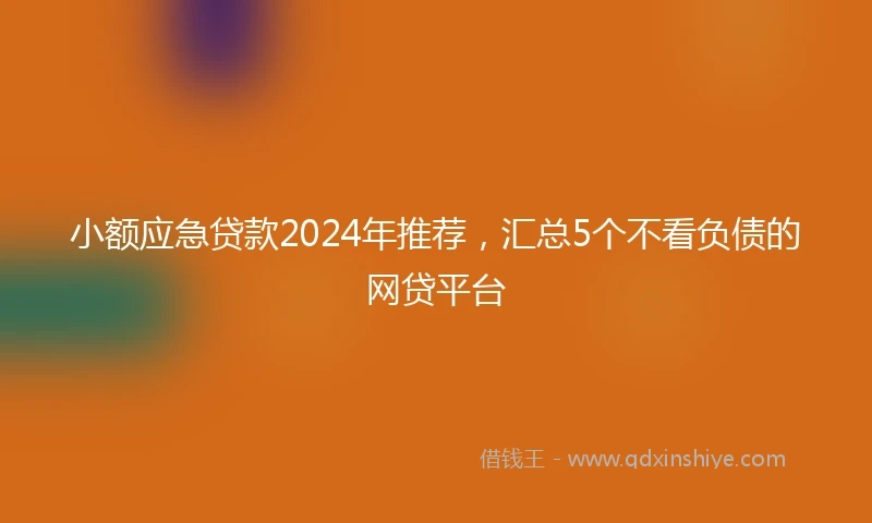 小额应急贷款2024年推荐，汇总5个不看负债的网贷平台