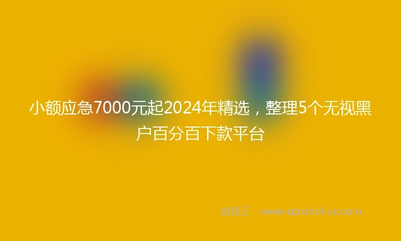小额应急7000元起2024年精选，整理5个无视黑户百分百下款平台