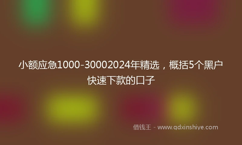 小额应急1000-30002024年精选，概括5个黑户快速下款的口子