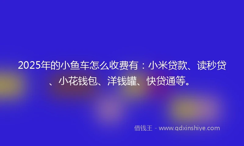 2025年的小鱼车怎么收费有：小米贷款、读秒贷、小花钱包、洋钱罐、快贷通等。