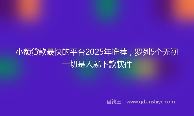 小额贷款最快的平台2025年推荐，罗列5个无视一切是人就下款软件