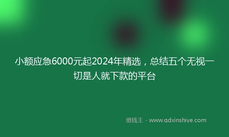 小额应急6000元起2024年精选，总结五个无视一切是人就下款的平台