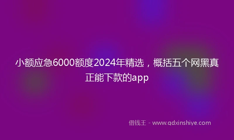 小额应急6000额度2024年精选，概括五个网黑真正能下款的app