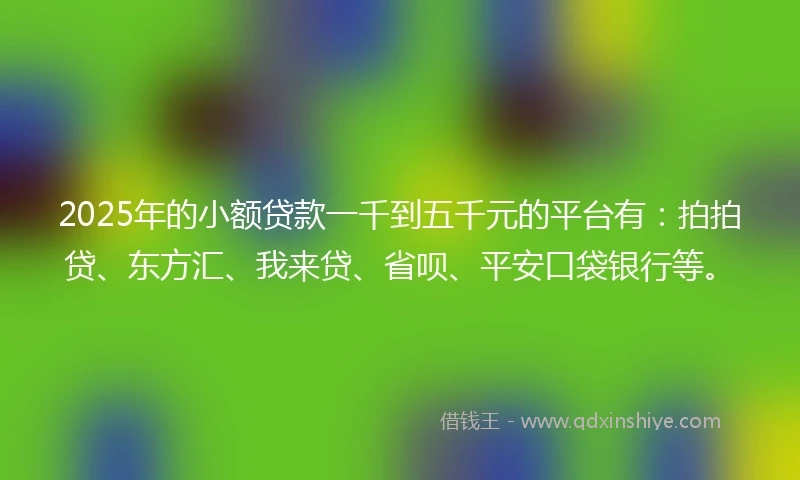 2025年的小额贷款一千到五千元的平台有：拍拍贷、东方汇、我来贷、省呗、平安口袋银行等。