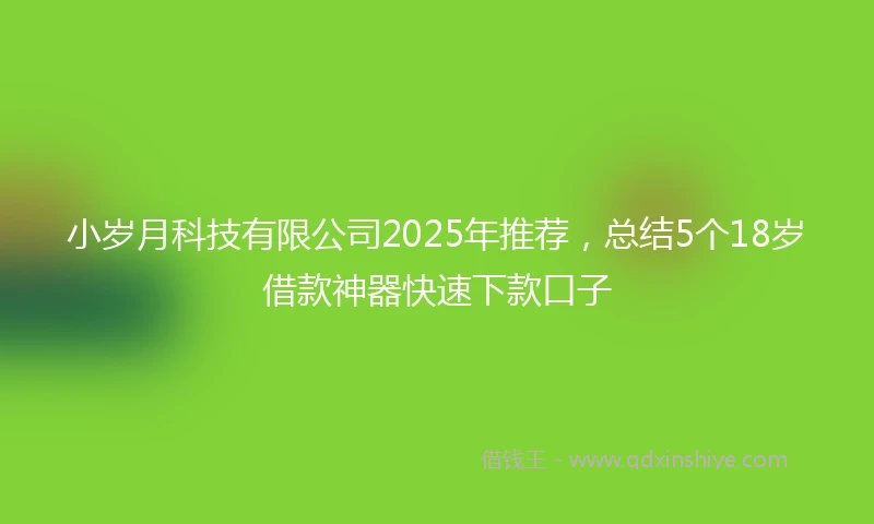 小岁月科技有限公司2025年推荐,总结5个18岁借款神器快速下款口子