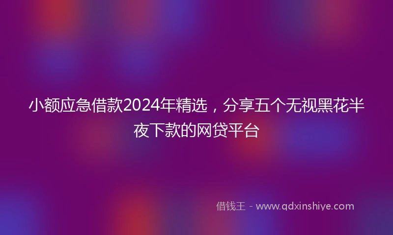 小额应急借款2024年精选，分享五个无视黑花半夜下款的网贷平台