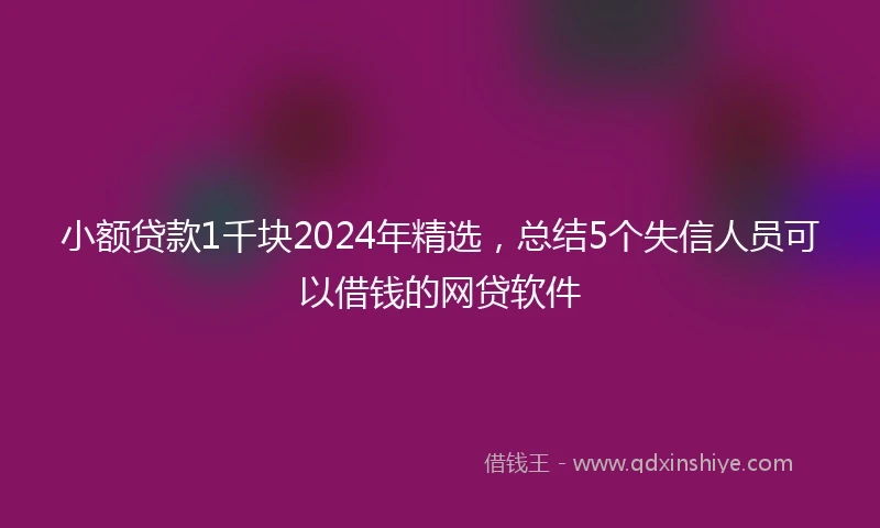小额贷款1千块2024年精选，总结5个失信人员可以借钱的网贷软件
