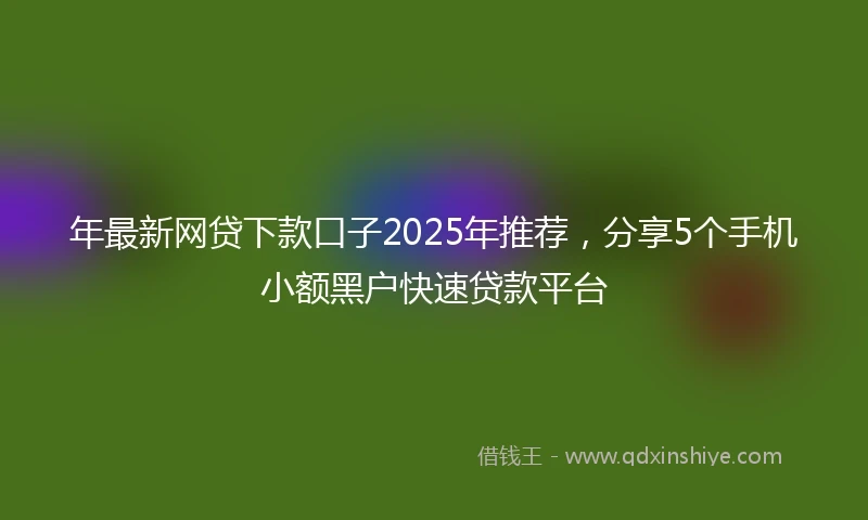 年最新网贷下款口子2025年推荐，分享5个手机小额黑户快速贷款平台