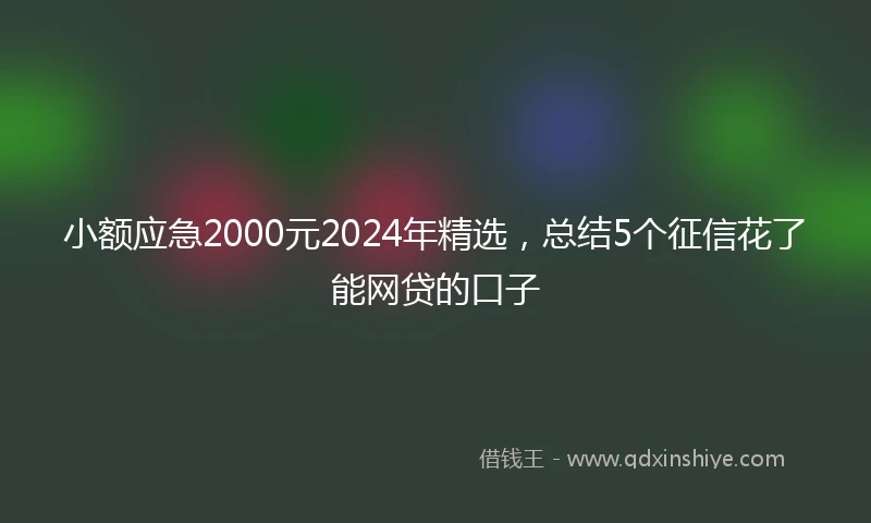小额应急2000元2024年精选，总结5个征信花了能网贷的口子