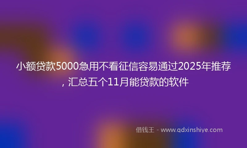 小额贷款5000急用不看征信容易通过2025年推荐，汇总五个11月能贷款的软件
