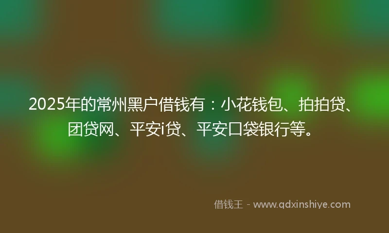2025年的常州黑户借钱有：小花钱包、拍拍贷、团贷网、平安i贷、平安口袋银行等。