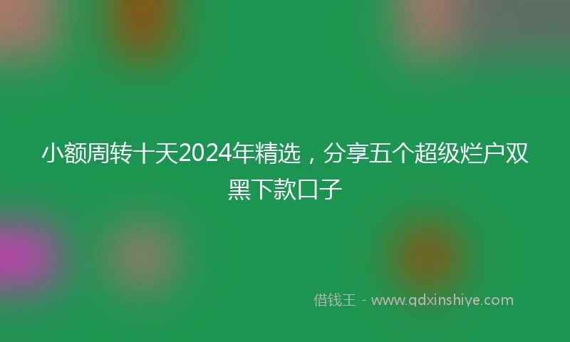 小额周转十天2024年精选，分享五个超级烂户双黑下款口子
