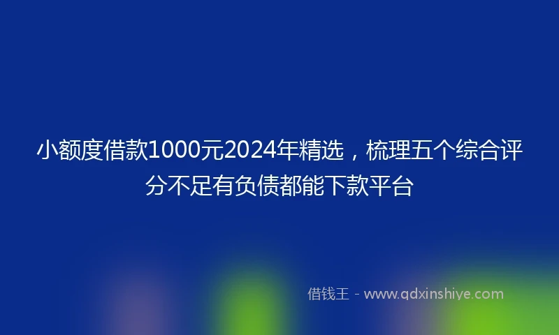 小额度借款1000元2024年精选,梳理五个综合评分不足有负债都能下款平台