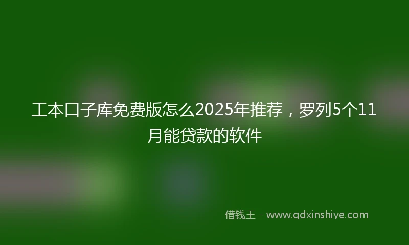 工本口子库免费版怎么2025年推荐，罗列5个11月能贷款的软件