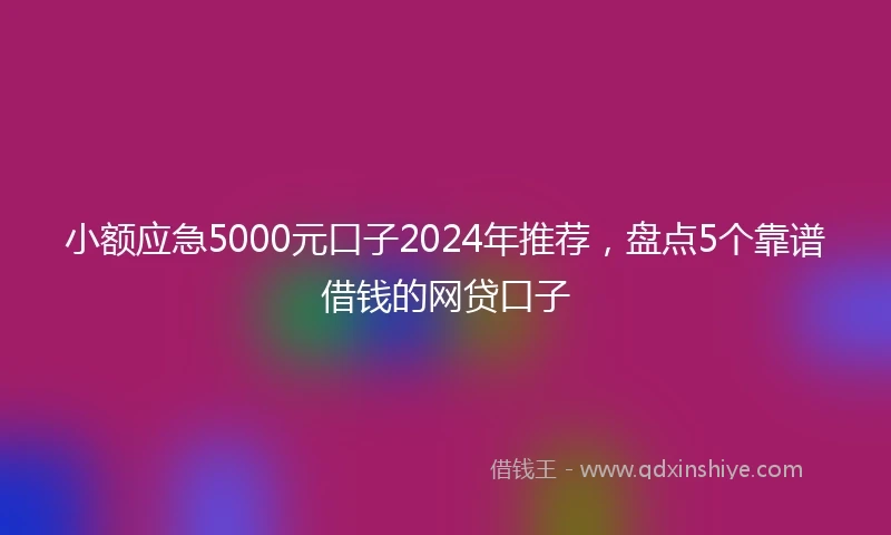 小额应急5000元口子2024年推荐，盘点5个靠谱借钱的网贷口子