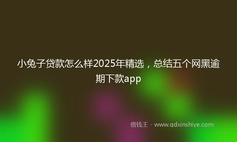 小兔子贷款怎么样2025年精选，总结五个网黑逾期下款app