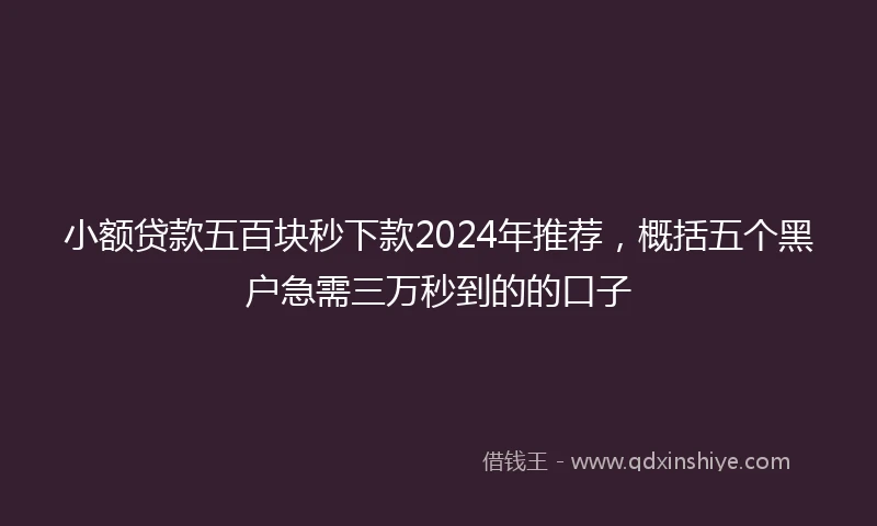 小额贷款五百块秒下款2024年推荐，概括五个黑户急需三万秒到的的口子