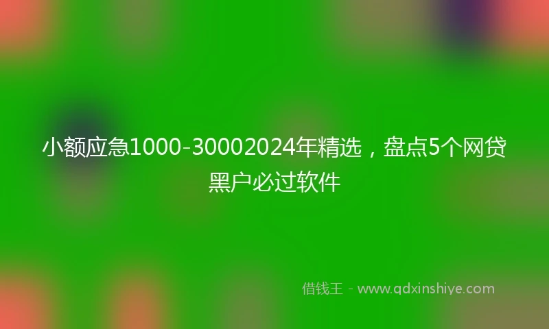 小额应急1000-30002024年精选，盘点5个网贷黑户必过软件