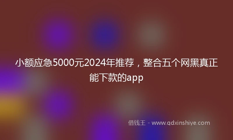 小额应急5000元2024年推荐，整合五个网黑真正能下款的app