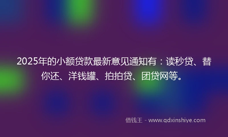 2025年的小额贷款最新意见通知有：读秒贷、替你还、洋钱罐、拍拍贷、团贷网等。