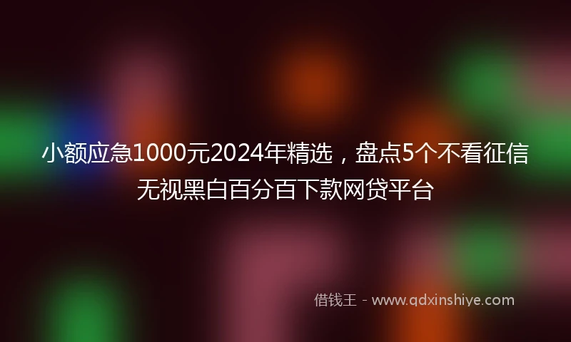 小额应急1000元2024年精选，盘点5个不看征信无视黑白百分百下款网贷平台