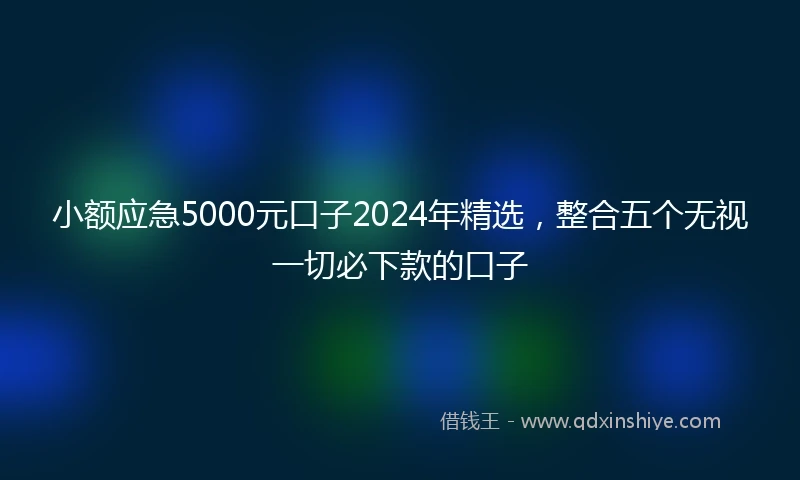 小额应急5000元口子2024年精选，整合五个无视一切必下款的口子