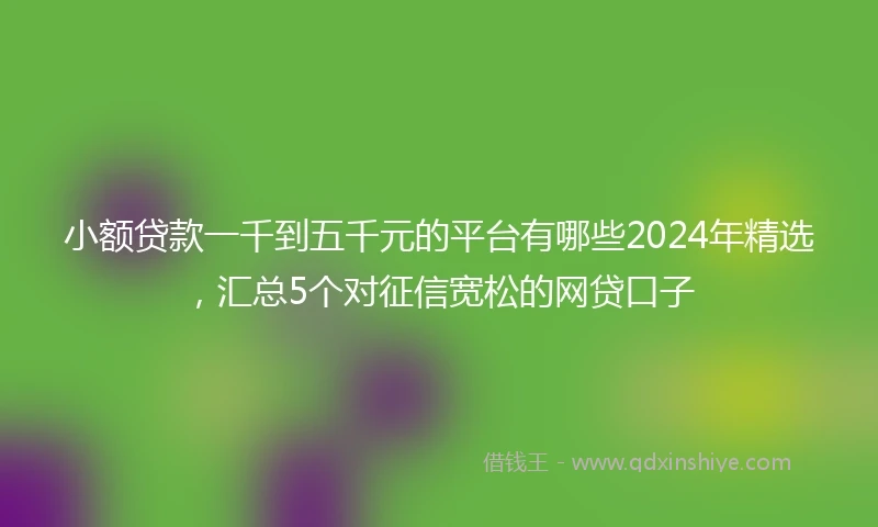 小额贷款一千到五千元的平台有哪些2024年精选，汇总5个对征信宽松的网贷口子