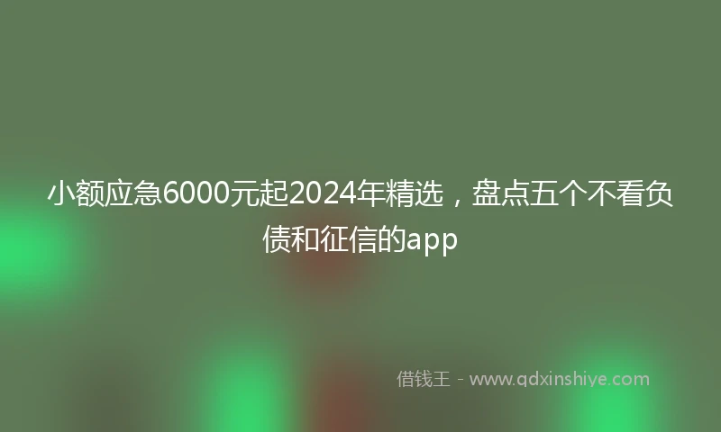 小额应急6000元起2024年精选，盘点五个不看负债和征信的app