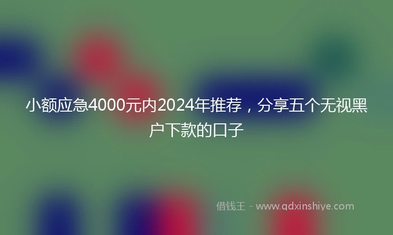 小额应急4000元内2024年推荐，分享五个无视黑户下款的口子